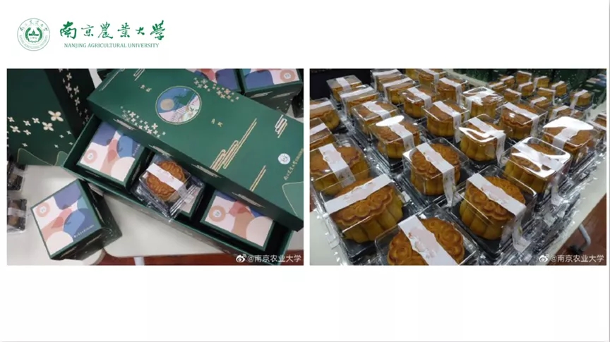 世界杯竞猜平台